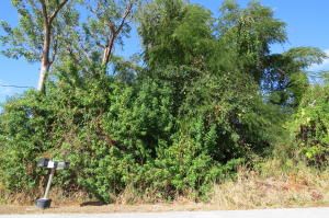 806 Oakwood Ave, Key Largo, FL 33037